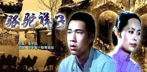 电影骆驼祥子在线观看,悲情人生，奋斗与命运的交织