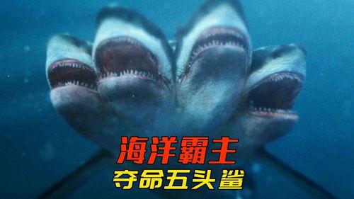 夺命五头鲨在线观看,深海恐怖惊悚全解析