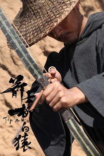 箭士柳白猿在线观看,绝世箭术，传奇人生在线揭秘