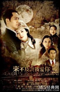 来不及说爱你在线观看,穿越时空的深情告白