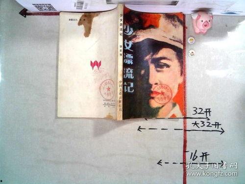 少女漂流记在线观看,青春岁月的奇幻漂流之旅