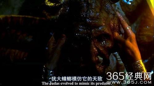 撕裂人2在线观看,狂潮再起，惊悚续集在线惊悚来袭