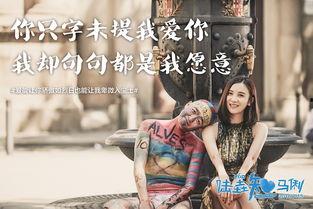 陆垚知马俐在线观看,一场浪漫的青春回忆之旅
